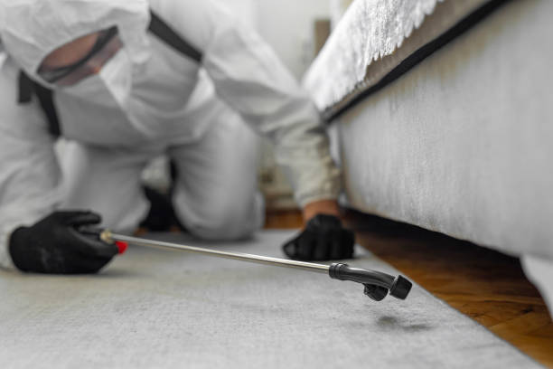 Professional Bed Bug Control technician working in Woodmore, MD