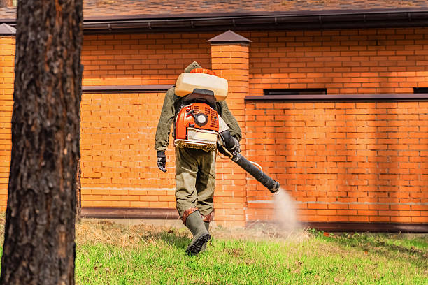 Trusted Bed Bug Control service in Woodmore, MD - Nex Pest Control